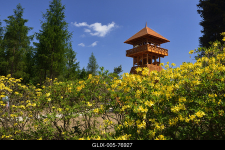 Jeli arborétum-stock-foto