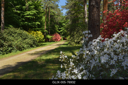 Jeli arborétum-stock-foto