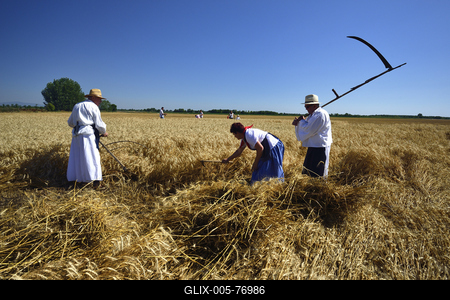Jászapáti Aratónap-stock-foto