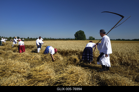 Jászapáti Aratónap-stock-foto