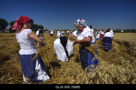 Jászapáti Aratónap-stock-foto