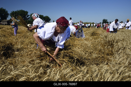 Jászapáti Aratónap-stock-foto