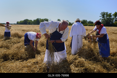 Jászapáti Aratónap-stock-foto