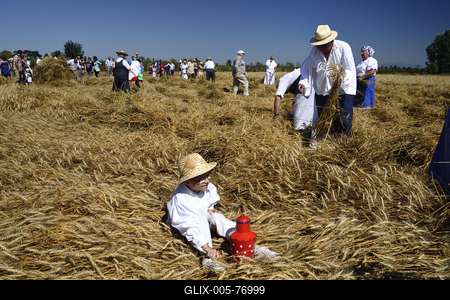 Jászapáti Aratónap-stock-foto