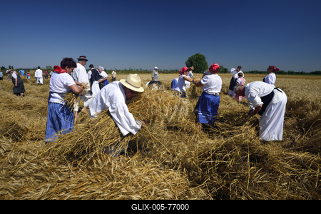 Jászapáti Aratónap-stock-foto