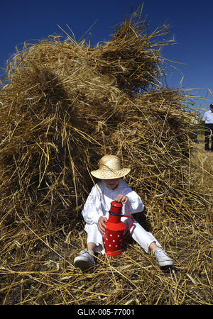 Jászapáti Aratónap-stock-foto