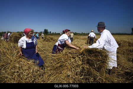 Jászapáti Aratónap-stock-foto