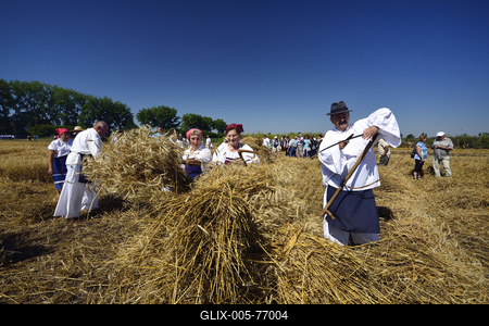 Jászapáti Aratónap-stock-foto