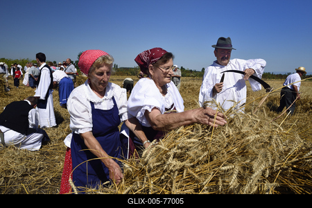 Jászapáti Aratónap-stock-foto