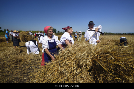 Jászapáti Aratónap-stock-foto