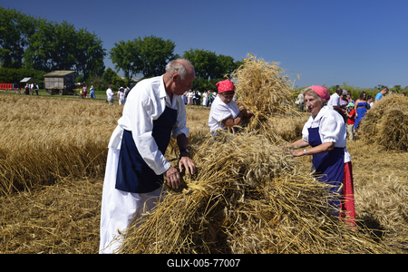 Jászapáti Aratónap-stock-foto