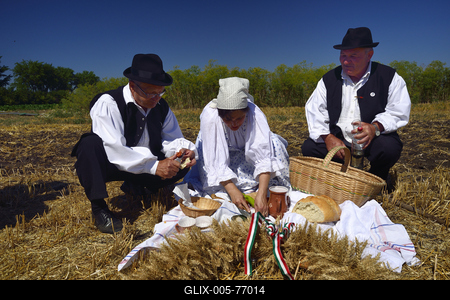 Jászapáti Aratónap-stock-foto