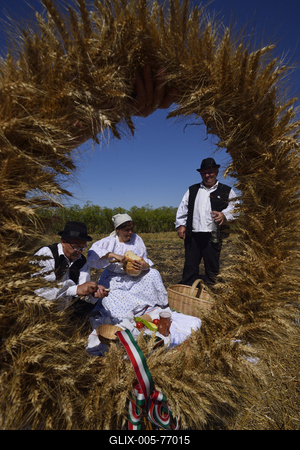 Jászapáti Aratónap-stock-foto