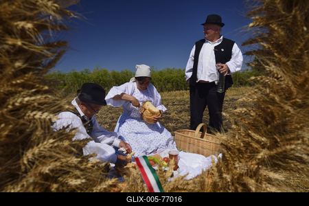 Jászapáti Aratónap-stock-foto