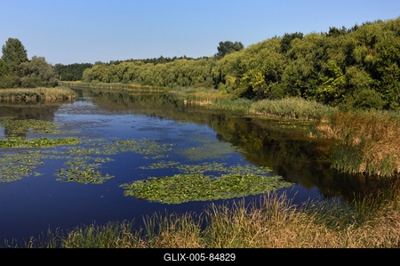Kis-Balaton-stock-foto