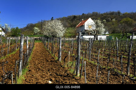 Mencshely-stock-foto