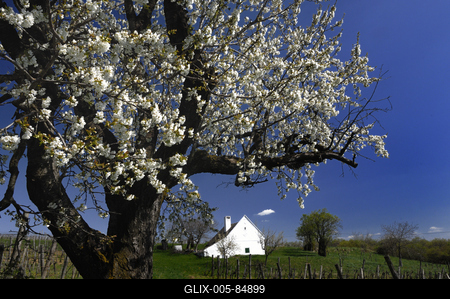 Mencshely-stock-foto