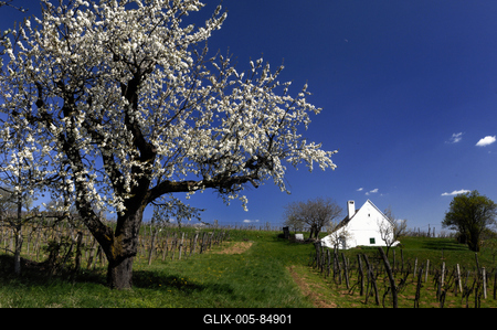 Mencshely-stock-foto