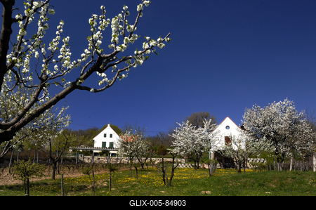 Mencshely-stock-foto