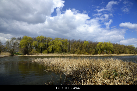 Kis-Balaton-stock-foto