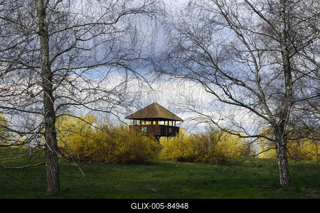 Kis-Balaton-stock-foto