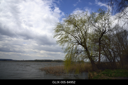 Kis-Balaton-stock-foto