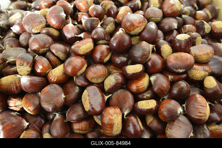 Szelíd gesztenye-stock-foto