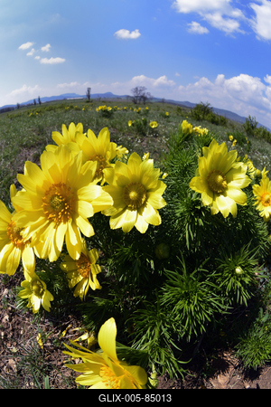 Kővágóőrs-stock-foto