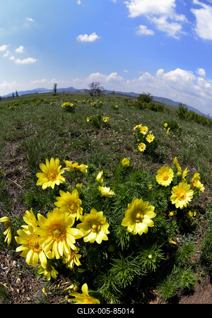 Kővágóőrs-stock-foto