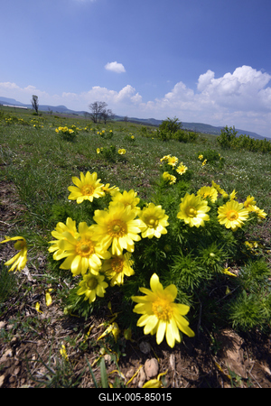 Kővágóőrs-stock-foto