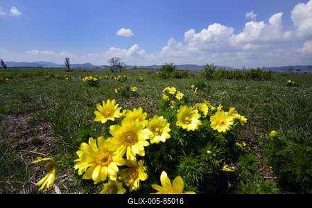 Kővágóőrs-stock-foto