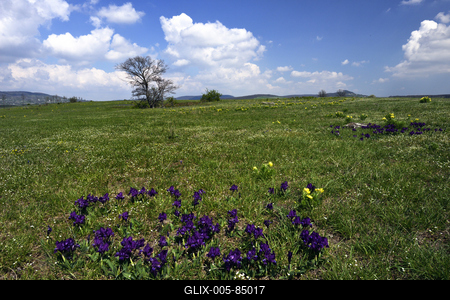 Kővágóőrs-stock-foto