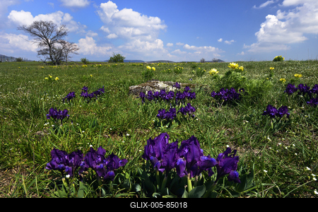 Kővágóőrs-stock-foto