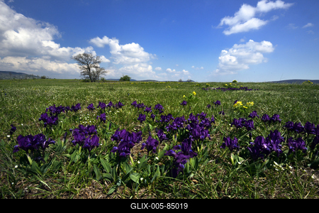 Kővágóőrs-stock-foto