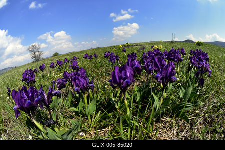 Kővágóőrs-stock-foto