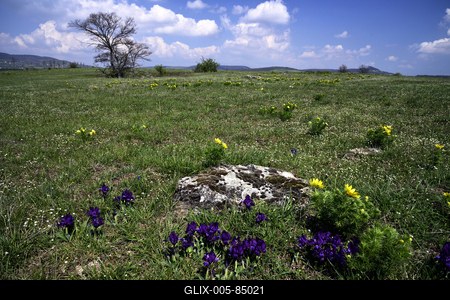 Kővágóőrs-stock-foto