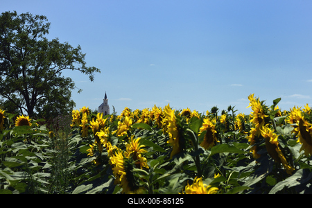 Kunhegyes-stock-foto