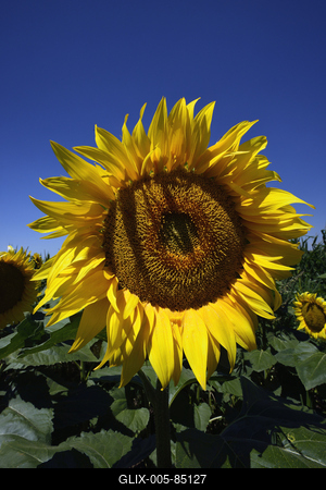 Kunhegyes-stock-foto