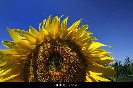 Kunhegyes-stock-foto