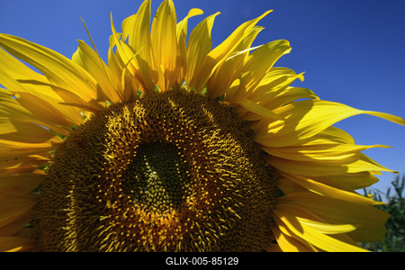 Kunhegyes-stock-foto
