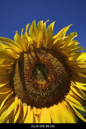 Kunhegyes-stock-foto