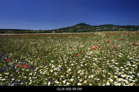 Köveskál-stock-foto