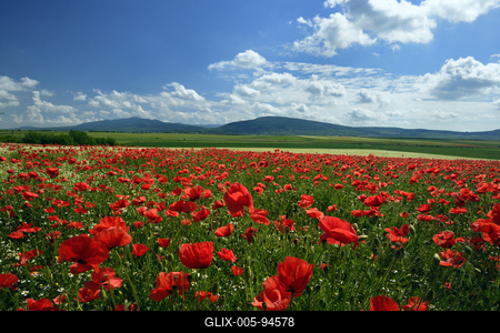 Nógrádi táj-stock-foto