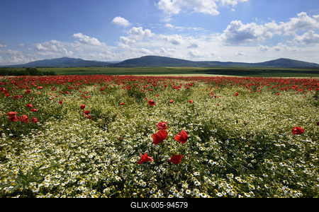 Nógrádi táj-stock-foto