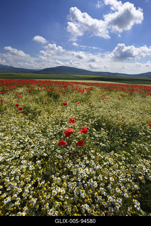 Nógrádi táj-stock-foto