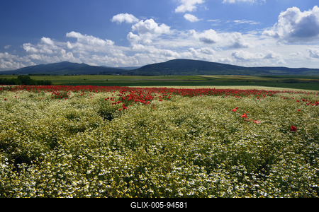 Nógrádi táj-stock-foto