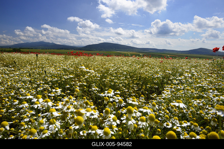 Nógrádi táj-stock-foto