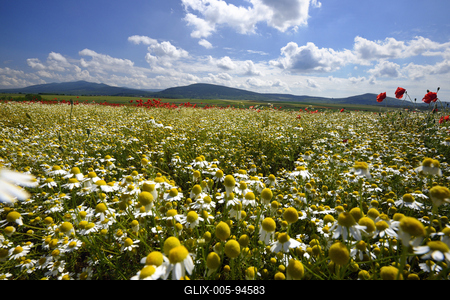 Nógrádi táj-stock-foto
