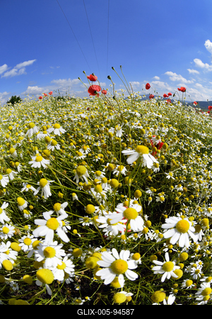 Nógrádi táj-stock-foto