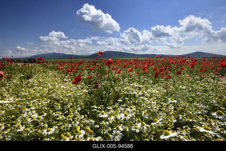 Nógrádi táj-stock-foto